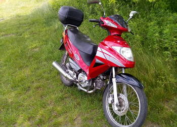 Motorower Zipp Salmo