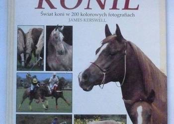 KONIE - JAMES KERSWELL