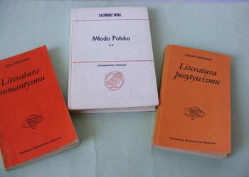 Literatura romantyzmu Witkowska + Literatura pozytywizmu + Młoda Polska