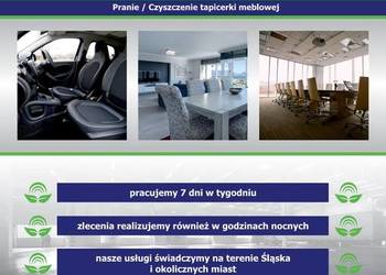 Pluskwa domowa, zwalczanie pluskiew, odpluskwianie Ruda Śląska