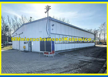 Hala wolnostojąca do wynajęcia Mysłowice plac biura socjal.