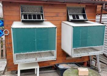 Gołębnik na młode gołębie pocztowe 3x2m woliery wyloty krata wema siodełka