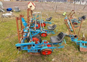 Sadzarka do truskawek lub rosady