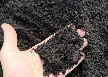 Czarnoziem Humus ZIEMIA Ogrodowa Siana do trawnika warzyw do 4t Kraków