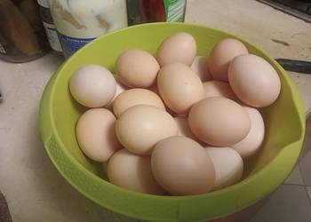 Jaka Jajka wiejskie z wolnego wybiegu