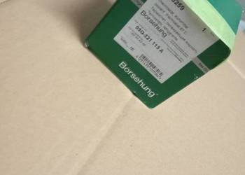 Termostat Borsehung B18259