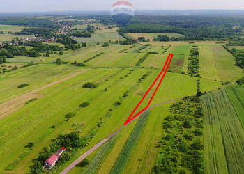 Działka rolna Poręba-Niwki