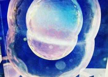 Operon biologia ponadpodstawowe