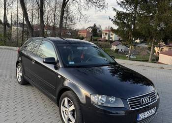 Audi A3 8P 1.6 MPI 102KM