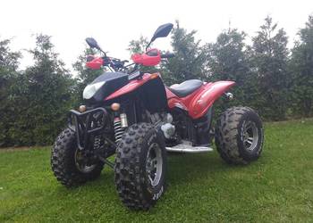 Sprzedam/zamienię Bashan 250