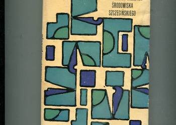 Witraże niepokoju Opowiadania młodych środowiska szczecińskiego