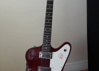 epiphone firebird
