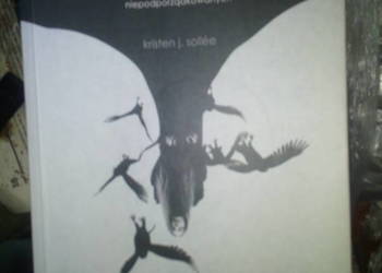 Polowanie na wiedźmy Sollee Kristen