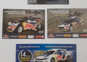 Karty Skoda, Volkswagen Motorsport