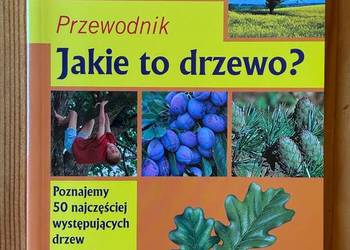 Jakie to drzewo? Przewodnik - Holger Haag, Sonia Schadwinkel