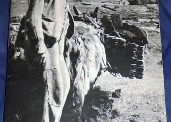 Wyspa Celtów - Jan Gitlin
