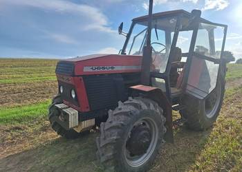Sprzedam ciągnik Ursus 914