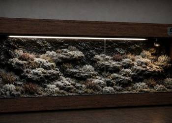 Terrarium od Egzo Systems dla żółwia greckiego gekona lamparciego