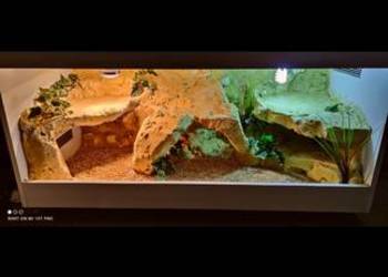 Okazja terrarium dla agamy gekona żółwia węża kameleona legwana boa pająka