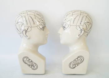 Dwie głowy medyczne porcelanowa PHERNOLOGY