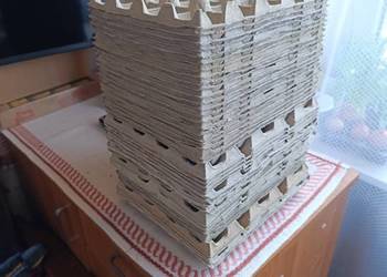 Wytłaczanki tekturowe na jajka , wytłoczki na 20 jajek