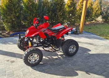 Bashan 250 zarejestrowany