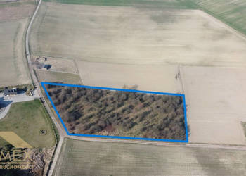 Oferta sprzedaży działki Czernica 7500m2