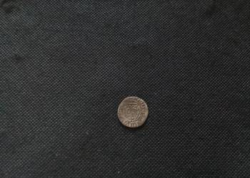 Szeląg Gdański Kazimierz Jagiellończyk