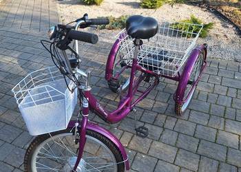 Rower elektryczny trójkołowy Rehtime