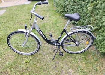 Rower miejski Senator