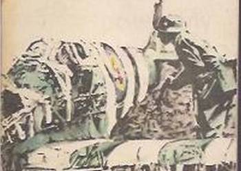 ŻÓŁTY TYGRYS - POWROTNY RAJD - KOZAKIEWICZ Z.