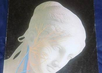 Mały atlas anatomiczny - Witold Sylwanowicz