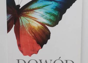 Dowód - Eben Alexander