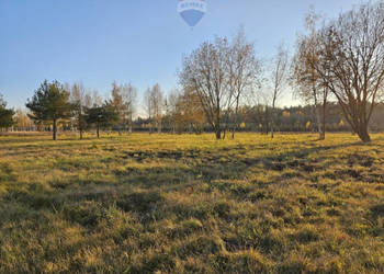 Działka budowlana z MPZP w dolinie Jeziorki