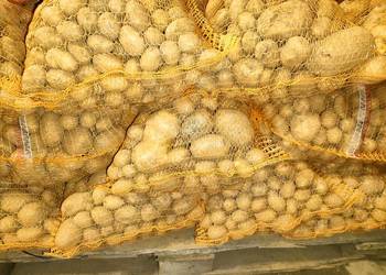 Ziemniaki dla zwierząt, odpadowe