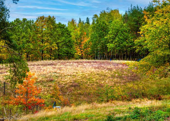 Mazowsze – działka marzeń na wzgórzu, las i cisza.