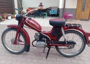 Sprzedam komara