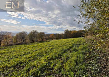 Działka 4300m Gogołów