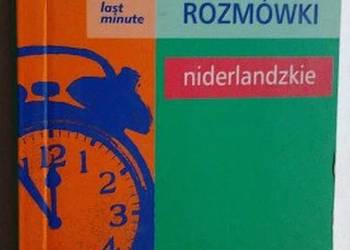 PONS ROZMÓKI NIDERLANDZKIE