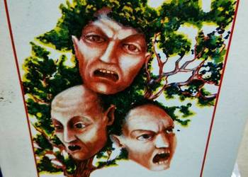 Rodziewiczówna Z głuszy książki outlet używane antykwaria