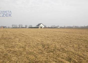 Sprzedam działki rolne z WZ w miejscowości Strzyżew, gm. Kampinos