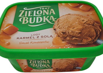 Pojemnik z pokrywką po lodach, zielony, 1L, 14,5x19,2x7,8cm (Kreatywne)