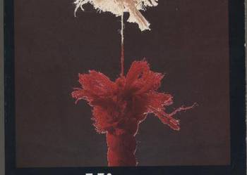 Miazga  - Jerzy Andrzejewski