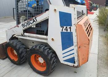 Bobcat