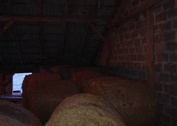 Sprzedam siano w belach i kostkach