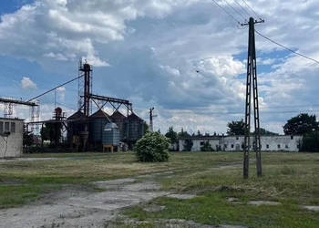 Ferma trzoda/drobiu