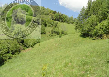 Grunt sprzedam Ochotnica Dolna 2600m2