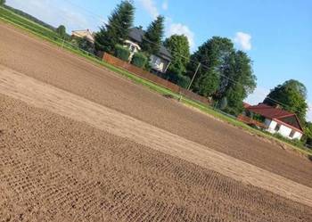 UPRAWA PRZYGOTOWANIE GLEBY KURÓW PUŁAWSKIE GLEBOGRYZARKA TRAWNIK