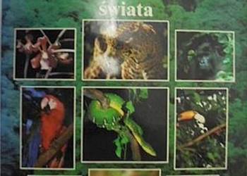 Lasy tropikalne świata /fa