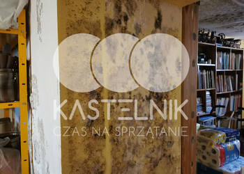 Odgrzybianie ścian Ciechocinek - Kastelnik - Usuwanie grzybów i pleśni